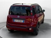 Auto Usate A Avellino | Fiat Panda 1.0 70Cv Hybrid Cross