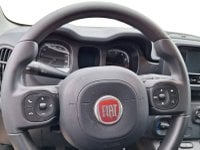 Auto Usate A Avellino | Fiat Panda My24 1.0 70Cv Hybrid Panda
