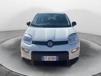 Auto Usate A Avellino | Fiat Panda My24 1.0 70Cv Hybrid Panda
