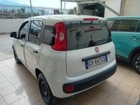 Auto Usate A Salerno | Fiat Professional Panda Van Van 1.0 Hybrid Pop 70Cv 2Posti Serie 4 E6D
