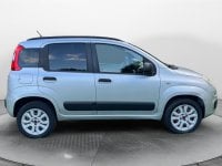 Auto Usate A Salerno | Fiat Panda 0.9 Twinair Turbo Natural Power 80Cv Easy