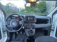 Auto Usate A Avellino | Fiat Panda My24 1.0 70Cv Hybrid Panda