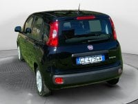 Auto Usate A Avellino | Fiat Panda 1.0 70Cv Hybrid Gpl Brc - Block Shaft