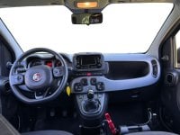 Auto Usate A Avellino | Fiat Panda 1.0 70Cv Hybrid Panda