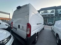 Auto Usate A Avellino | Fiat Professional Ducato Serie 8 Furgone Lastrato 35Q Lh2 140Cv 2.2 Multi...