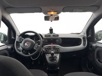Auto Usate A Salerno | Fiat Panda 1.0 Hybrid City Cross S&Amp;S 70Cv
