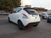 Auto Usate A Benevento | Lancia Ypsilon 1.0 Firefly 70 Cv Start&Amp;Stop Hybrid Gold