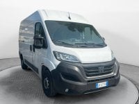 Auto Usate A Avellino | Fiat Professional Ducato Serie 8 Furgone Lastrato 33Q Mh2 160Cv 2.2 Multi...