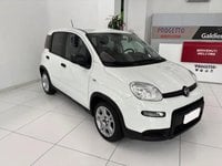Auto Usate A Avellino | Fiat Panda 1.0 70Cv Hybrid Panda