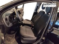 Auto Usate A Avellino | Fiat Panda 1.0 70Cv Hybrid Panda