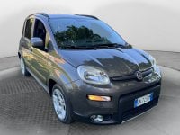Auto Usate A Avellino | Fiat Panda 1.0 70Cv Hybrid Panda