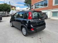 Auto Km0 A Benevento | Fiat Panda 1.0 70Cv Hybrid Panda