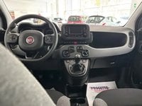 Auto Usate A Avellino | Fiat Panda 1.0 70Cv Hybrid Panda