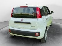 Auto Km0 A Avellino | Fiat Pandina 1.0 65Cv Hybrid Icon