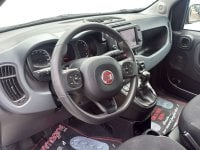 Auto Usate A Avellino | Fiat Panda 1.0 70Cv Hybrid Cross