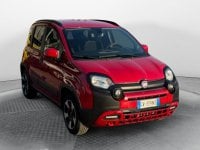 Auto Usate A Avellino | Fiat Panda 1.0 70Cv Hybrid Cross