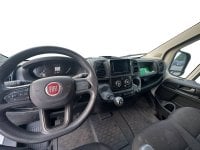 Auto Usate A Avellino | Fiat Professional Ducato Serie 8 Furgone Lastrato 35Q Lh2 140Cv 2.2 Multi...