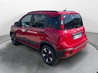 Auto Usate A Avellino | Fiat Panda 1.0 70Cv Hybrid Cross