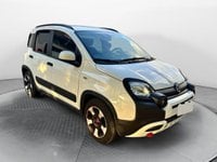 Auto Usate A Avellino | Fiat Panda 1.0 70Cv Hybrid Cross