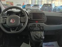 Auto Usate A Avellino | Fiat Panda 1.0 70Cv Hybrid Cross