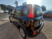 Auto Usate A Avellino | Fiat Panda 1.0 70Cv Hybrid Panda