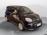 Auto Usate A Avellino | Fiat Panda 1.0 70Cv Hybrid Panda