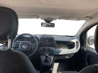 Auto Usate A Avellino | Fiat Panda 1.0 70Cv Hybrid Cross