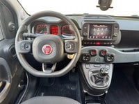 Auto Usate A Avellino | Fiat Panda 1.0 70Cv Hybrid Cross