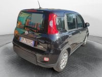 Auto Usate A Avellino | Fiat Panda 1.0 70Cv Hybrid Panda