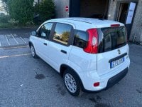 Auto Usate A Avellino | Fiat Panda My24 1.0 70Cv Hybrid Panda