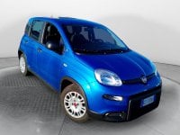 Auto Usate A Avellino | Fiat Panda My24 1.0 70Cv Hybrid Panda