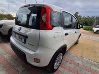 Auto Usate A Avellino | Fiat Panda My24 1.0 70Cv Hybrid Panda