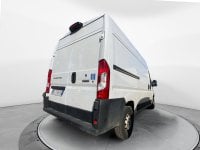 Auto Usate A Benevento | Fiat Professional Ducato Serie 8 Furgone Lastrato 33Q Mh2 140Cv 2.2 Mult...