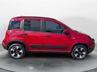 Auto Usate A Avellino | Fiat Panda 1.0 70Cv Hybrid Cross