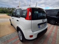 Auto Usate A Avellino | Fiat Panda My24 1.0 70Cv Hybrid Panda