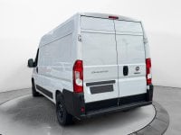 Auto Usate A Avellino | Fiat Professional Ducato Series 9 Furgone Lastrato 35Q Mh2 140Cv 2.2 Mult...