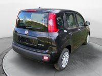 Auto Km0 A Salerno | Fiat Pandina 1.0 65Cv Hybrid Icon