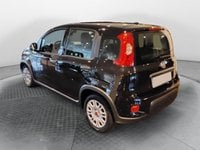 Auto Usate A Salerno | Fiat Panda 1.0 70Cv Hybrid Panda