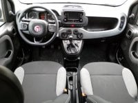 Auto Usate A Avellino | Fiat Panda 1.0 70Cv Hybrid City Life