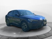 Auto Usate A Avellino | Alfa Romeo Stelvio 2.2 Turbo Diesel 210Cv At8 Q4 Executive