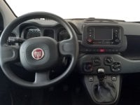Auto Usate A Avellino | Fiat Panda 1.0 70Cv Hybrid