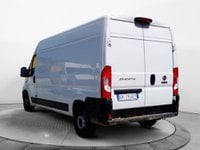 Auto Usate A Avellino | Fiat Professional Ducato Serie 8 Furgone Lastrato 35Q Lh2 140Cv 2.2 Multi...