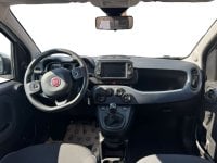Auto Usate A Avellino | Fiat Panda 1.0 70Cv Hybrid Cross