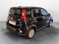 Auto Usate A Salerno | Fiat Panda 1.0 70Cv Hybrid Panda