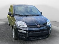 Auto Km0 A Salerno | Fiat Pandina 1.0 65Cv Hybrid Icon