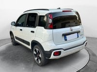Auto Usate A Avellino | Fiat Panda 1.0 70Cv Hybrid Cross