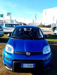 Auto Usate A Avellino | Fiat Panda My24 1.0 70Cv Hybrid Panda
