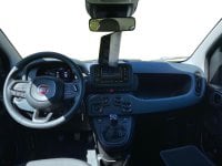 Auto Usate A Avellino | Fiat Panda 1.0 70Cv Hybrid Gpl Brc - Block Shaft
