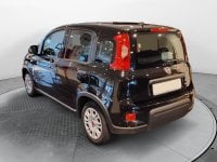 Auto Usate A Avellino | Fiat Panda 1.0 70Cv Hybrid Panda