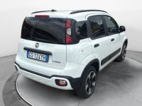 Auto Usate A Avellino | Fiat Panda 1.0 70Cv Hybrid Cross